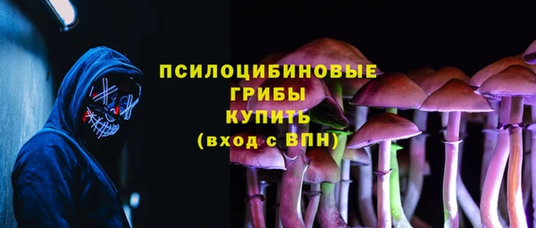 мдпв Бронницы