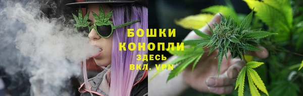 стаф Верхний Тагил