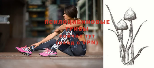 круглые Бородино