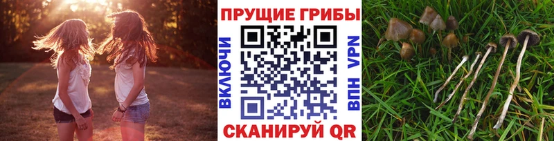 сколько стоит  Улан-Удэ  darknet наркотические препараты  Псилоцибиновые грибы ЛСД 